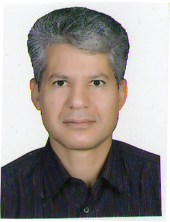 Hamzeh Izadi (PhD)